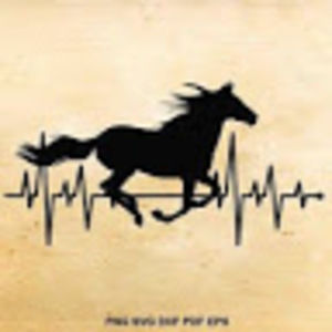 Meet your Posher, Alison